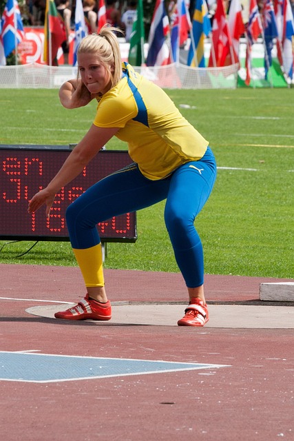 这也为其他 这也为其他