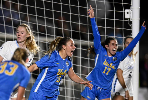 了球员的职 了球员的职